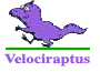 Velociraptus